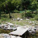 금대에코힐링캠핑장(주차장) 이미지