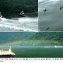 금대레저