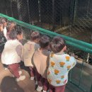 꽃사슴화원 이미지