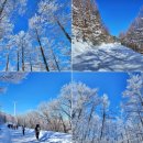 만항할매민박 이미지