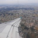 제주의 사색 이미지