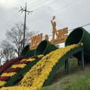 장성어린이공원 | (장성) 황룡강 가을꽃축제 ‘가을만화’ / 장성 아이랑 갈만한곳 / 가을꽃축제 찐후기
