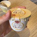 하마약국 - 화성시 병점2로 30 | [4박5일 오사카여행 기록] 아이랑 오사카 숙소 추천 / 호텔 브라이튼 시티 오사카 기타하마❤️
