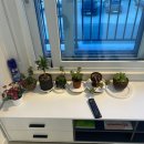 정 담은 집 이미지