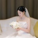 마직 | 더채플앳청담 채플홀 본식스냅후기
