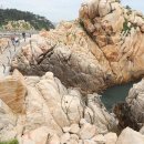 꽃비산책