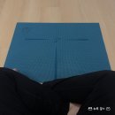 다인요가원 | 구리 요가 다인요필라테스 한달 후기 운동 추천