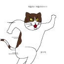 푸라닭구리 이미지