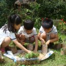 몬테소리유치원 이미지