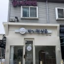 빵지펫살롱 | 신창동강아지미용실 빵지펫살롱 테디비숑 애견미용 추천