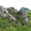 설레이다 이미지