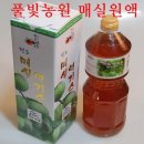 풀빛농원