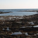 강정동-29 이미지