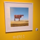 백곰세탁소 | 건대입구역 &lt;헬가 스텐첼 사진전 - 집안의 초현실주의&gt; 주차팁, 관람후기, 아이랑 갈 만한 곳