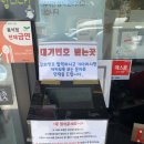 바람꽃 | 낙산사 근처 맛집 바람꽃 해녀마을 대만족후기 웨이팅 찐맛집