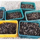 이목농장 2 이미지