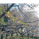 나들목가족공원(2) 이미지