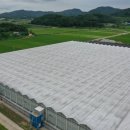 서부차유리 이미지