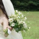 오드리헤어 - 용인시 기흥구 구교동로118번길 9 | 제주 웨딩스냅 촬영 후기: 더아워, 밑그림, 오드리테일러(1)ㅣ헤어메이크업, 드레스 피팅, 수트, 생화...