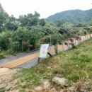 유온목장 이미지