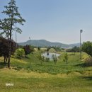 벙커475-1 | 경북 골프장 골프존카운티 청통 2부 라운딩, 청통cc 그린피