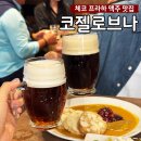 소신흑염소 | 체코프라하 &lt;코젤로브나&gt; 프라하시내투어 흑맥주 맛집추천