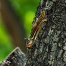 경주시립도서관 화장실 이미지