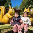 사명어린이집 | 아이도 부모도 행복한 꼬망새어린이집, 수원어린이집에서의 성장 이야기