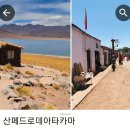 (주)오아시스여행사