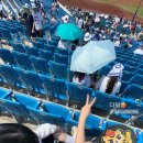 하늘멍가 이미지