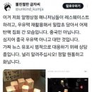 똥개스탈님과 대화하면 검색했더니 이미지