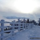 우리-다-가치 이미지