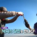 난지도소나무펜션