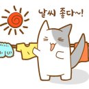 쌍따봉 닭도리 이미지