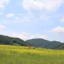 진안축산 이미지