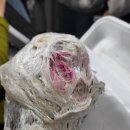 하남유니온파크 이미지