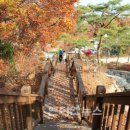 석모도 자연휴양림 이미지