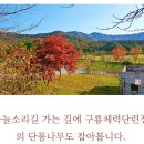 제247회 여행공지 11월19일 ( 화요일) 계룡 하늘 소리길 이미지