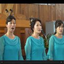 샤론치과 Daum카페