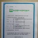 진영이네 이미지