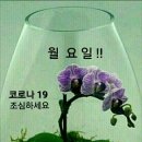 그냥작고소박한