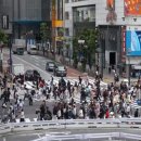 기사 스크랩_도쿄의 한국 사장님이 눈물 흘린 이유 / 대학 난민 특별전형·장학금… “자국민 역차별 vs 인도적 배려” 이미지