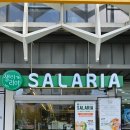 샐러리아 인천도화점 | 도화동 샐러드 새로생긴 샐러리아 도화점