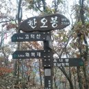 지난주 21일(금) 다녀온 완주 상관면 편백나무숲 이미지