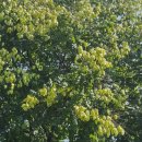 용비쉼터 이미지