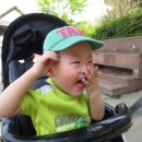 달성공원관리사무소 이미지