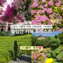 사평대로12길 27 (2) | 불암산 힐링타운 카페 포레스트 식물원카페 나비정원 수국명소