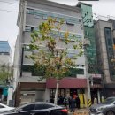 역삼119안전센터 이미지