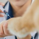 대웅가구 이미지