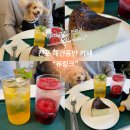 카페 음료와 디저트 이미지